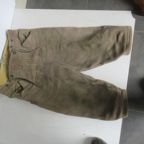 Oktoberfest hirsch lederhose - oktoberfest,